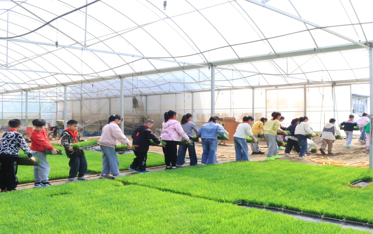 1776254846402629.png 图片3.png